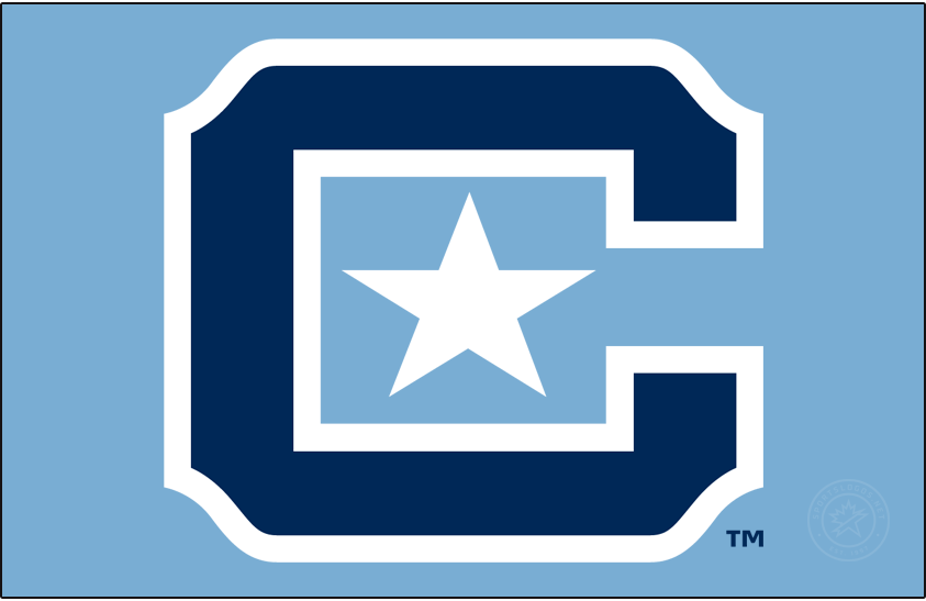 The Citadel Bulldogs 2021-Pres Primary Dark Logo diy iron on heat transfer